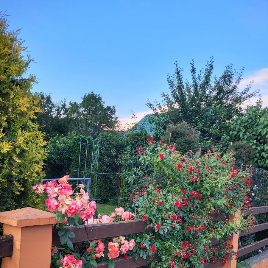Lodge Breza Lux Kolasin Luaran gambar